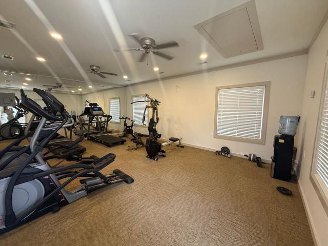 Apartment for rent in Oxford, Mississippi