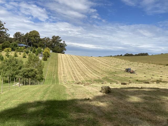 Cottage for sale in Abbotsham, Tasmania