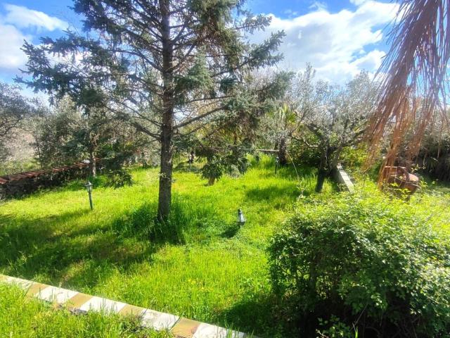 Appartamento in affitto a Zafferana Etnea, Sicilia