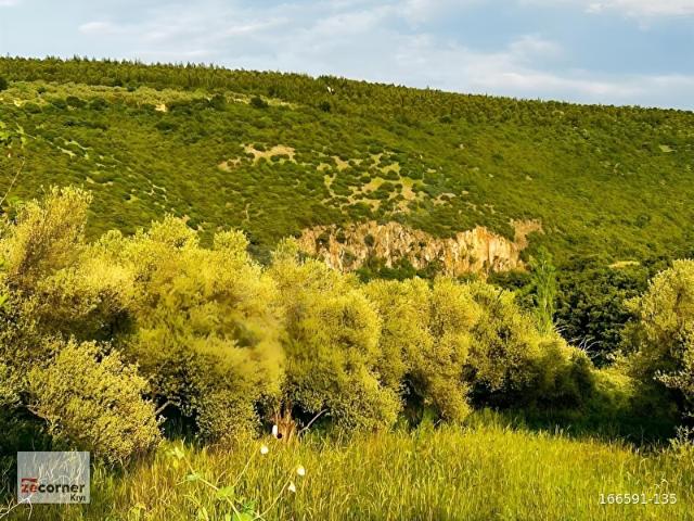 Boncuklu, Soma içerisinde satılık Arsa