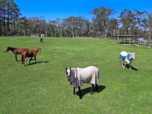 Cottage for sale in Gosford, New South Wales