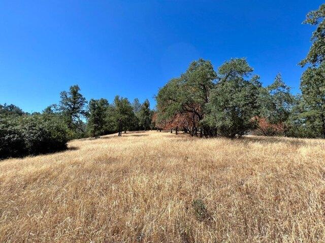 Land for sale in Somerset Land for sale in Somerset