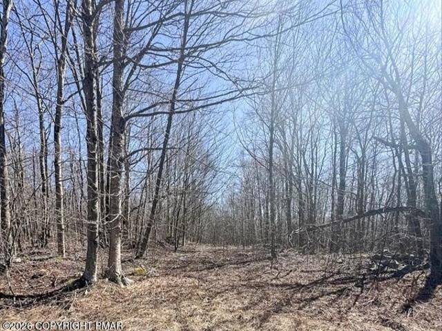 Land for sale in Cresco, Pennsylvania