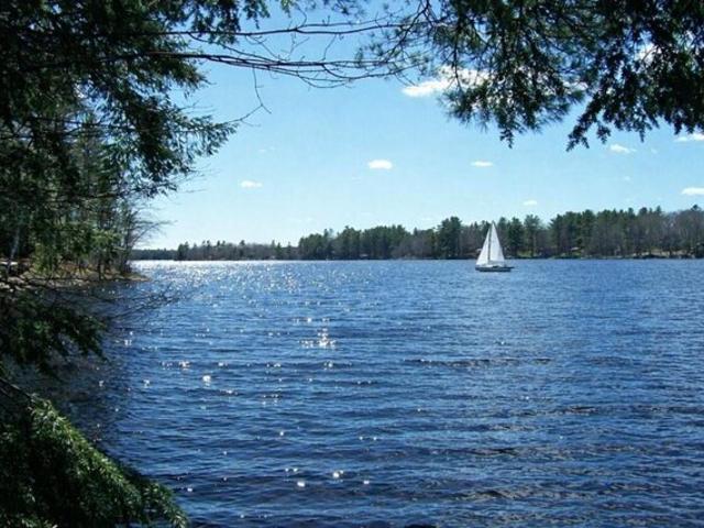 Land for sale in Maine