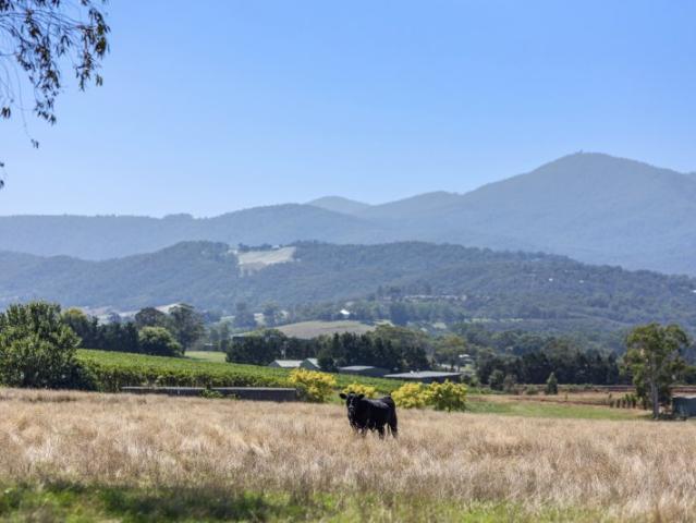 Land for sale in Camerons Creek, Victoria