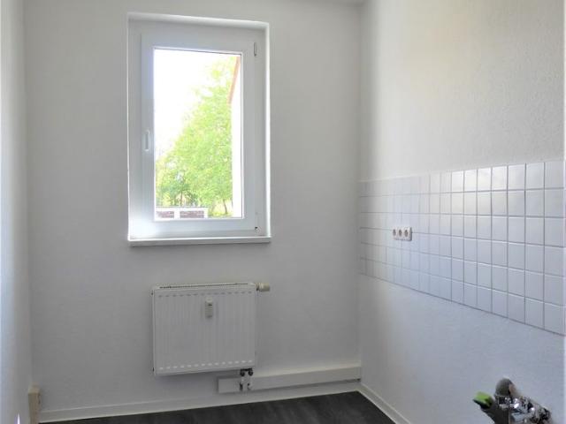 Apartment mieten in Kleinlauchstädt, Schafstädt