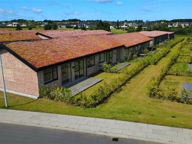 Hus til leje i Holstebro, Århus