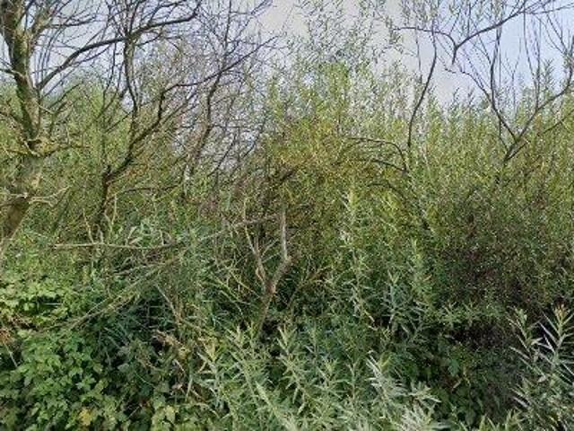 Ejendom til salg i Haderslev