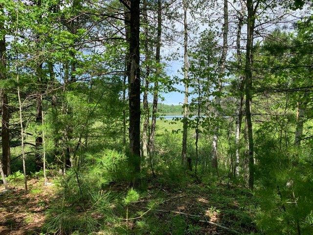Land for sale in Tomahawk, Lincoln County