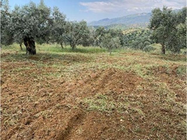 Sultanhisar, Aydin içerisinde satılık mülk
