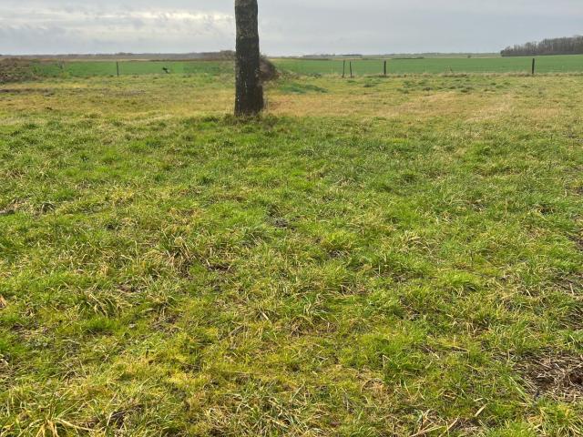 Terrain vente à Rambouillet, Sonchamp