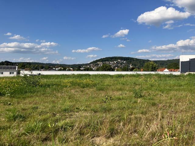 Erdgeschosswohnung kaufen in Büdingen, Hessen