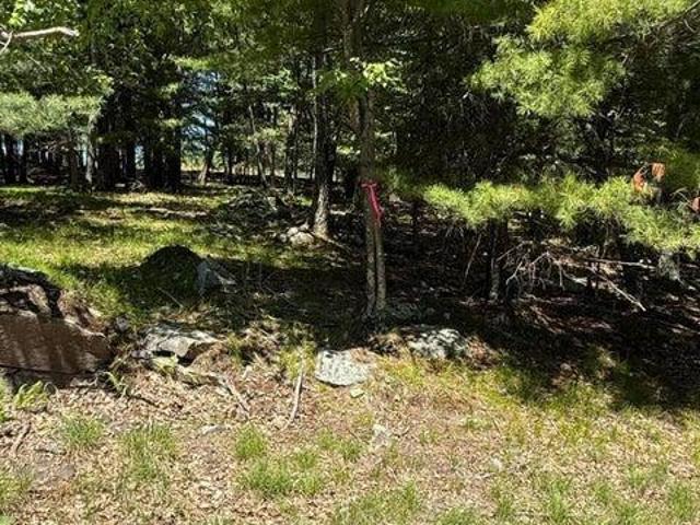 Land for sale in Pennsylvania
