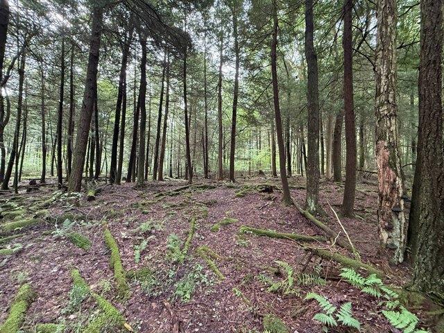 Land for sale in Clarington, Pennsylvania