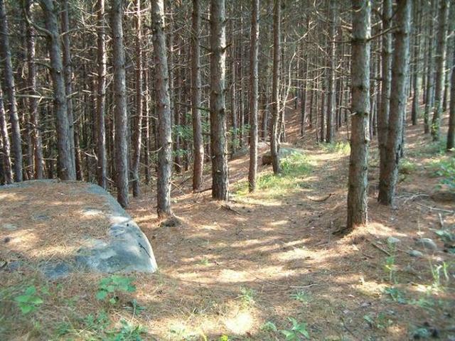 House for rent in Port Hope, Ontario