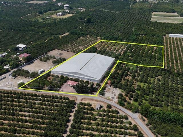 Dörtyol, Hatay içerisinde satılık mülk