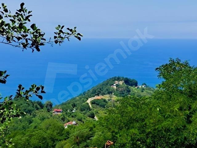 Ordu içerisinde satılık mülk