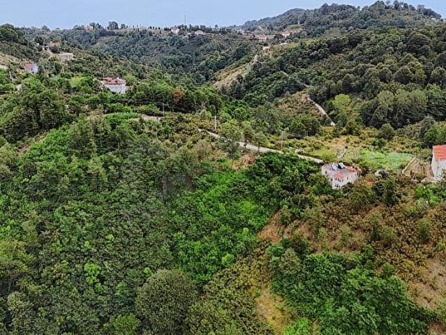 Çavuşkıranı, Perşembe içerisinde satılık mülk
