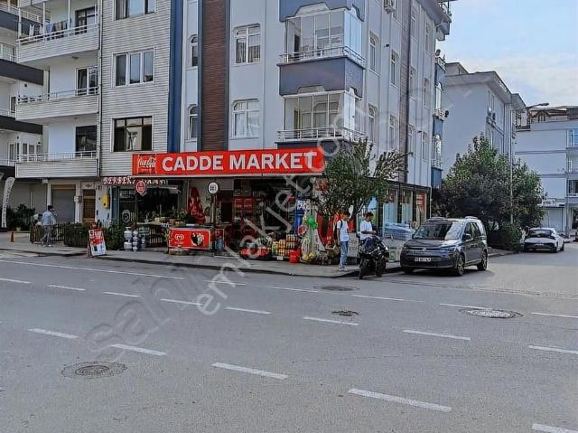 Altinova, Yalova içerisinde kiralık mülk