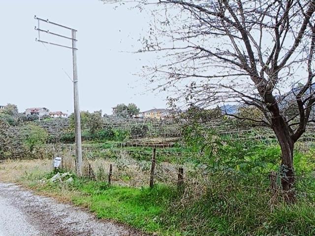 Efirli Mahallesi, Perşembe içerisinde satılık mülk
