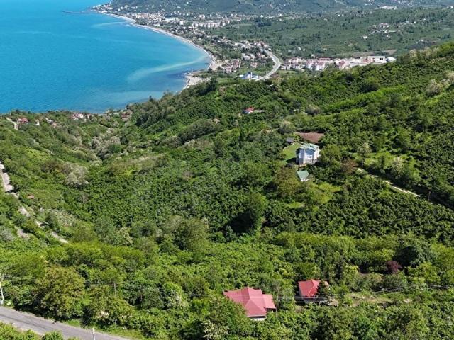Çerli Mahallesi, Perşembe içerisinde satılık mülk