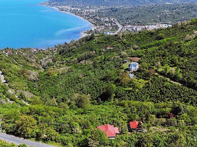 Çerli Mahallesi, Perşembe içerisinde satılık mülk