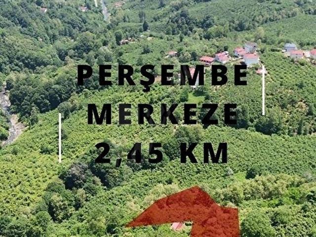 Beyli Mahallesi, Perşembe içerisinde satılık mülk