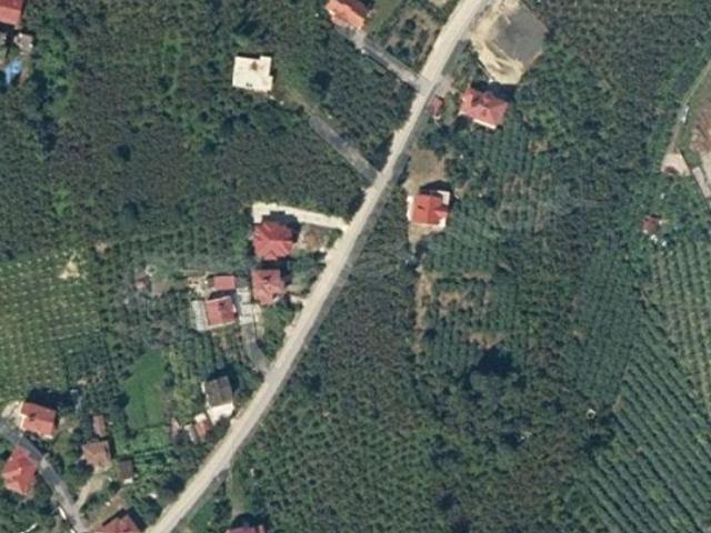 Efirli Mahallesi, Perşembe içerisinde satılık mülk