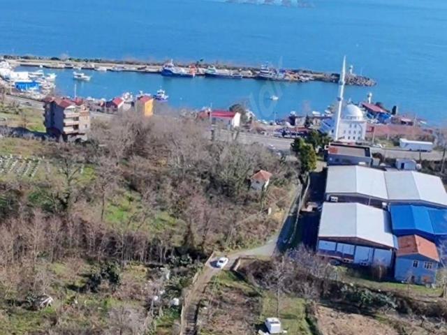 Ordu içerisinde satılık Arsa