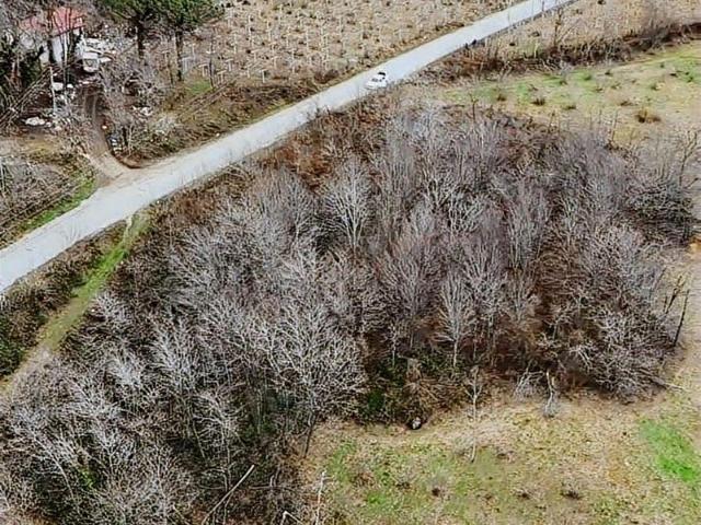 Çavuşlu, Perşembe içerisinde satılık mülk