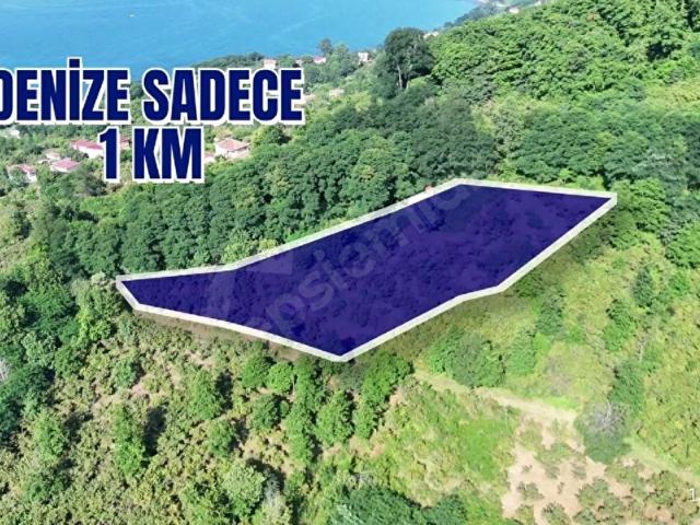 Orta, Perşembe içerisinde satılık mülk