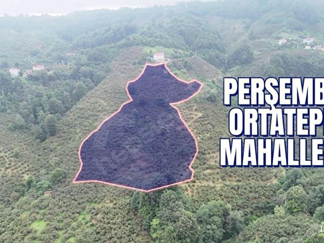 Ordu içerisinde satılık mülk
