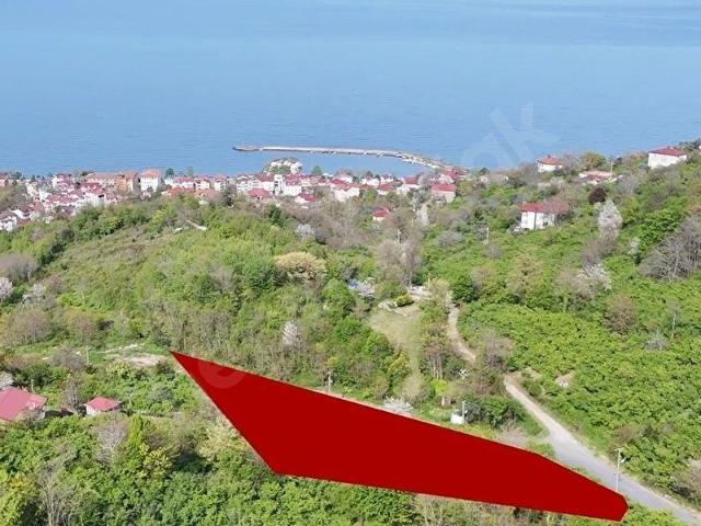 Hamidiye Mahallesi, Perşembe içerisinde satılık mülk