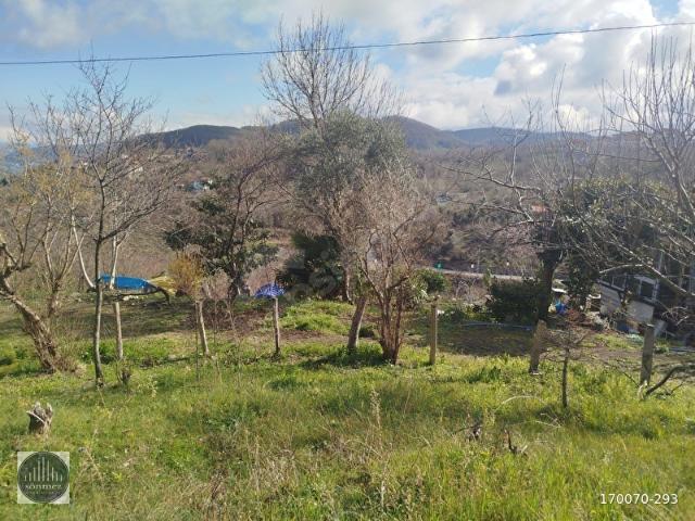 Ordu içerisinde satılık Arsa