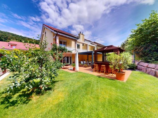 Einfamilienhaus kaufen in Geroldswil, Zürich