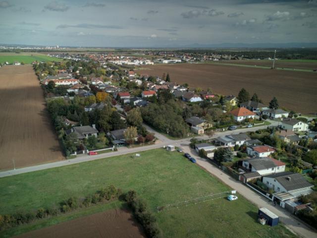 Grundstück kaufen in Gänserndorf, Niederösterreich