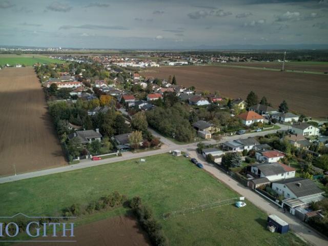 Grundstück kaufen in Gänserndorf, Niederösterreich