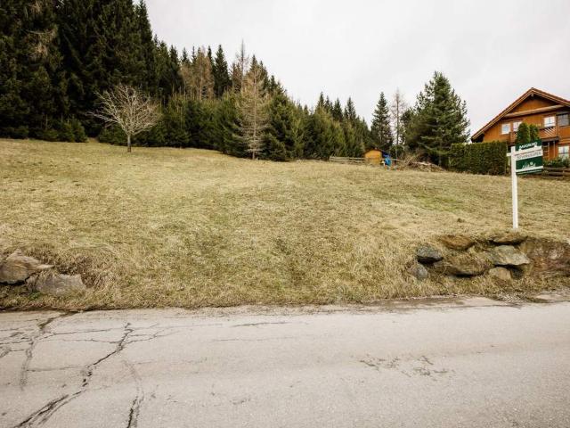 Grundstück kaufen in Murau, Steiermark