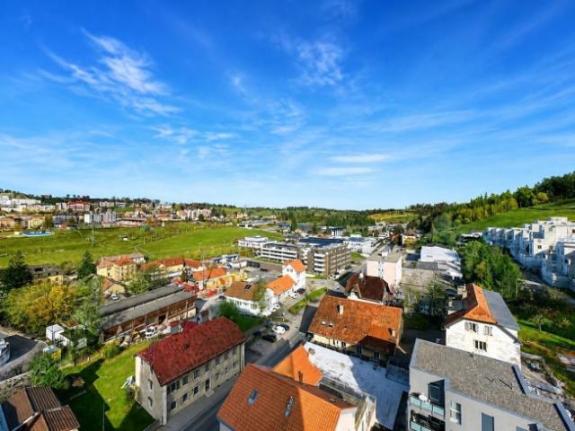 Wohnung kaufen in La Chaux-de-Fonds