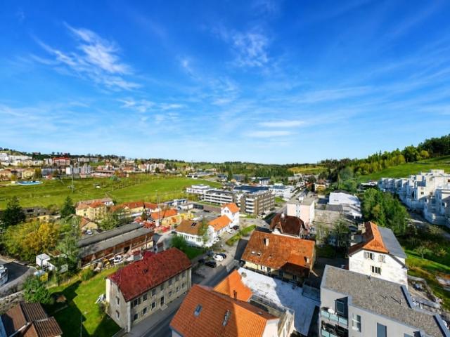 Wohnung kaufen in La Chaux-de-Fonds