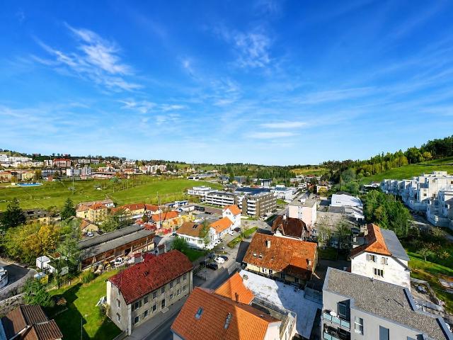 Wohnung kaufen in La Chaux-de-Fonds