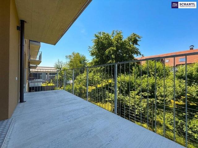 Wohnung kaufen in Steiermark