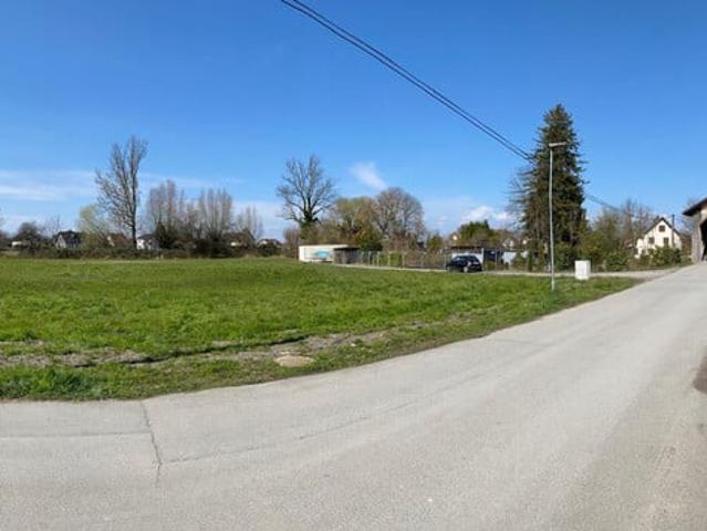 Grundstück kaufen in Fußach, Vorarlberg