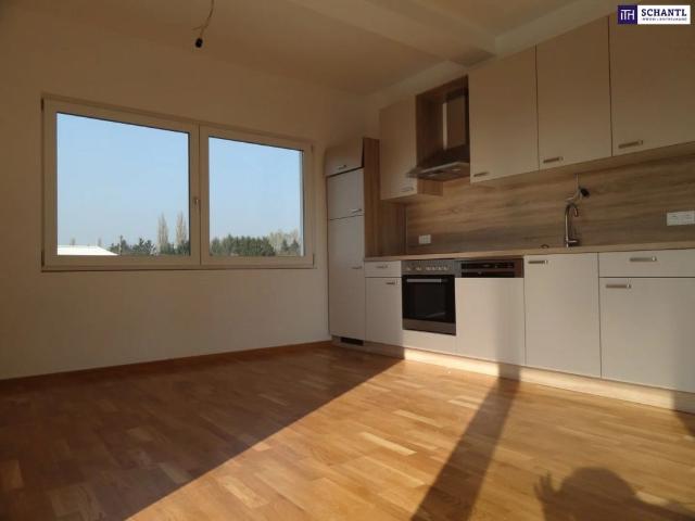 Apartment mieten in Liebenau, Gersdorf-Feistritz