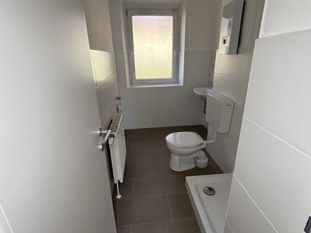 Apartment mieten in Ort, Steyr