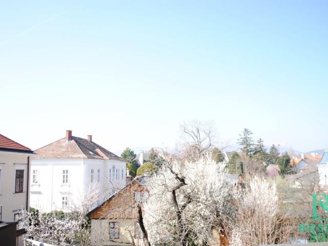 Apartment mieten in Baden, Niederösterreich