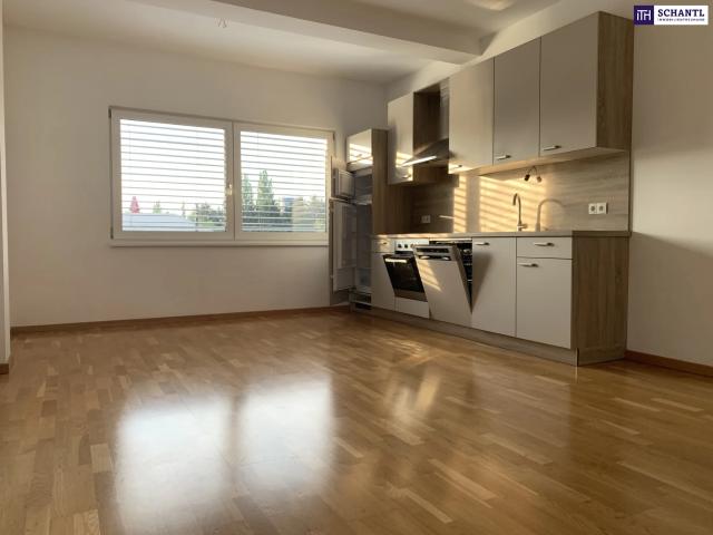 Apartment mieten in Liebenau, Oberösterreich