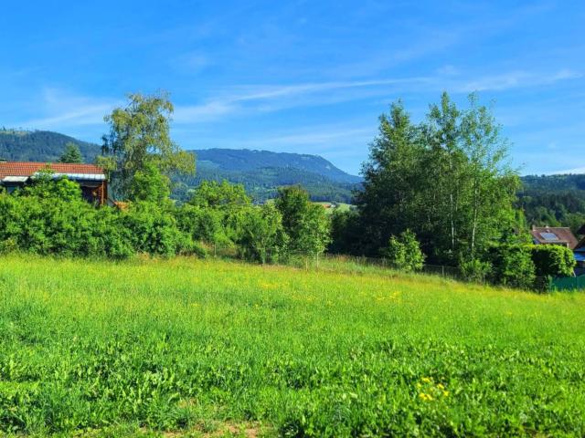 Grundstück kaufen in Weinitzen, Steiermark