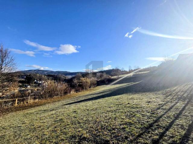 Grundstück kaufen in Steiermark