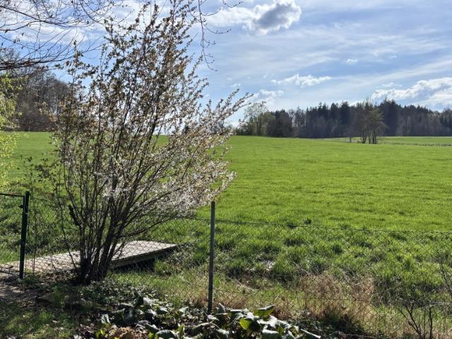 Doppelhaushälfte kaufen in Starnberg, Bayern